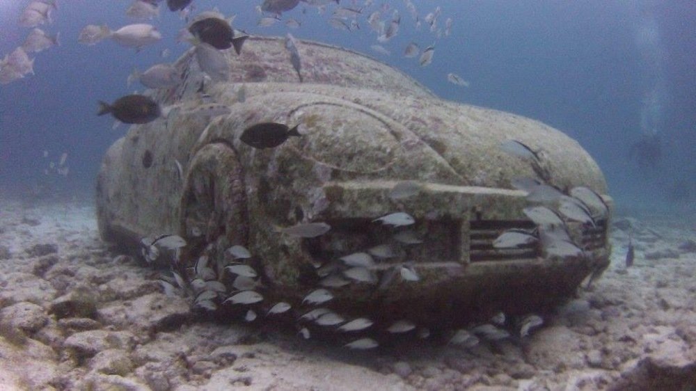 Photograph by Rachael Hudson