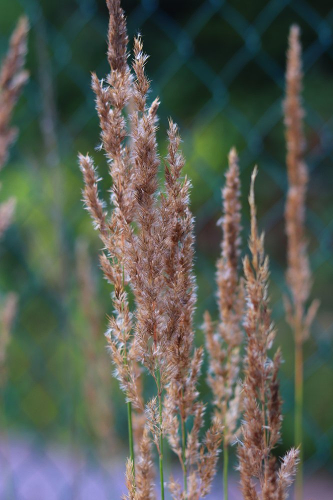 Photograph by Tatyana Semenova