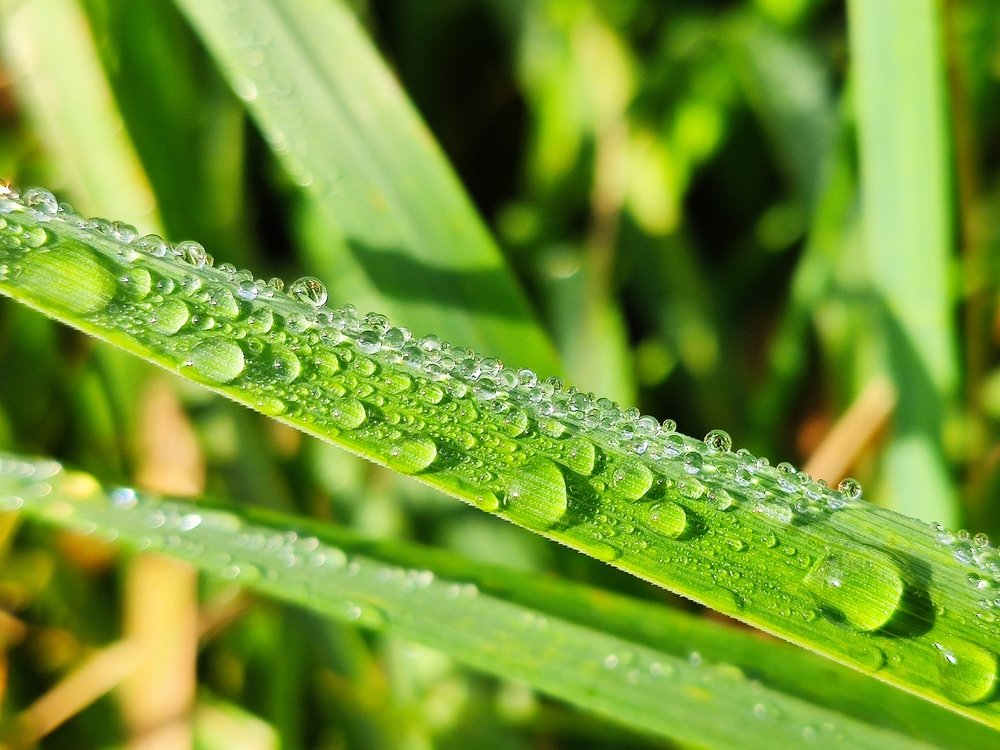 Photograph by Евгений Артемьев