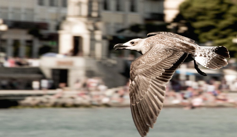 Photograph by Юлия Яшина