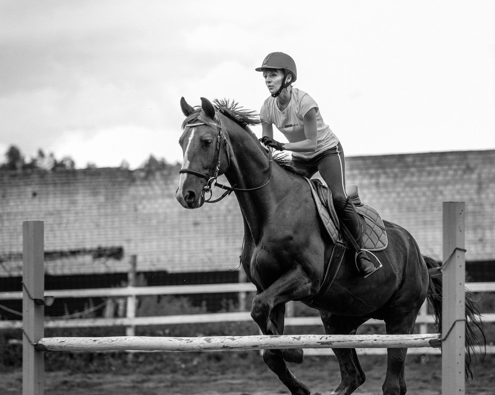 Photograph by Алексей Молчан