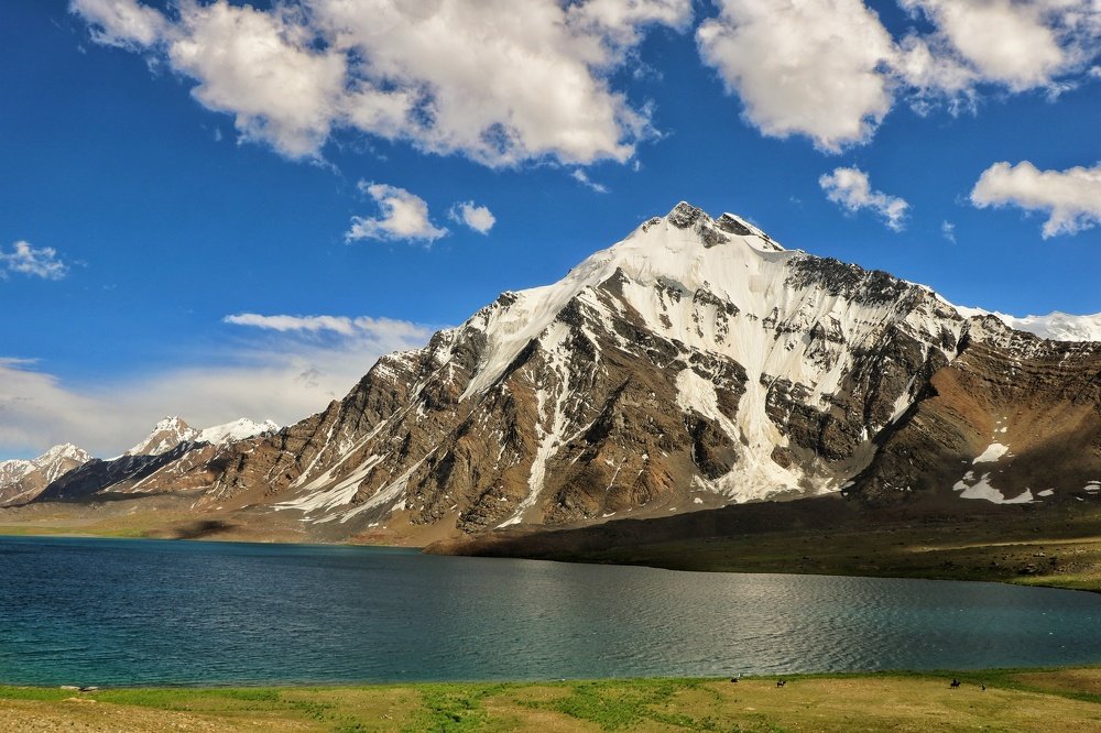 Photograph by Shafeeque Alam