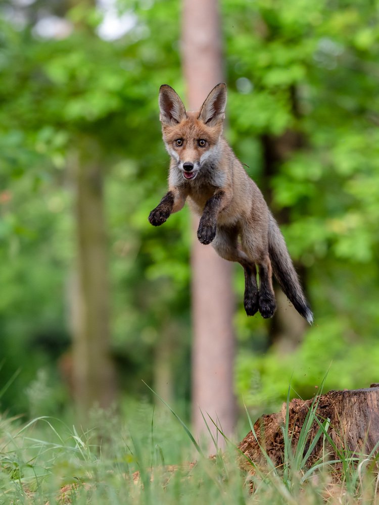 Photograph by Daniel Donaták