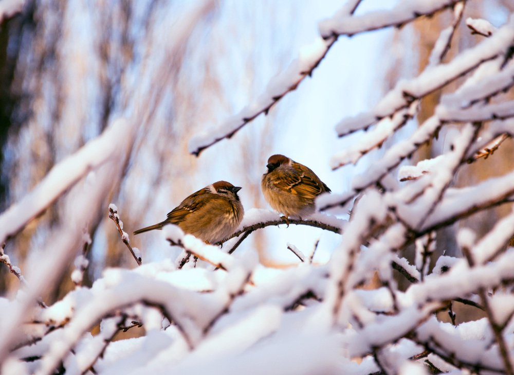 Photograph by Юлия Яшина