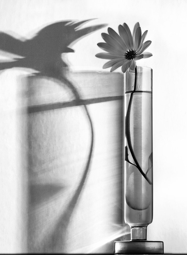 Photograph by Eduardo Modolo