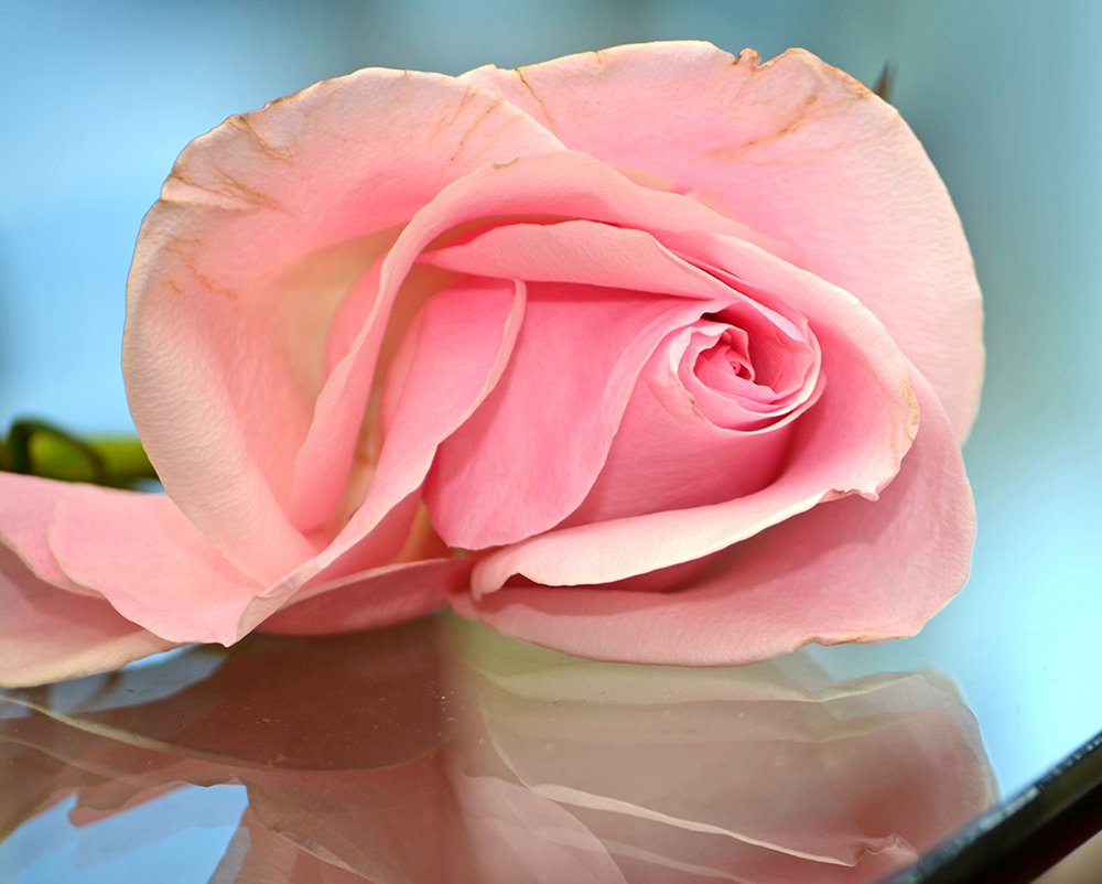 Photograph by Liliana Grup