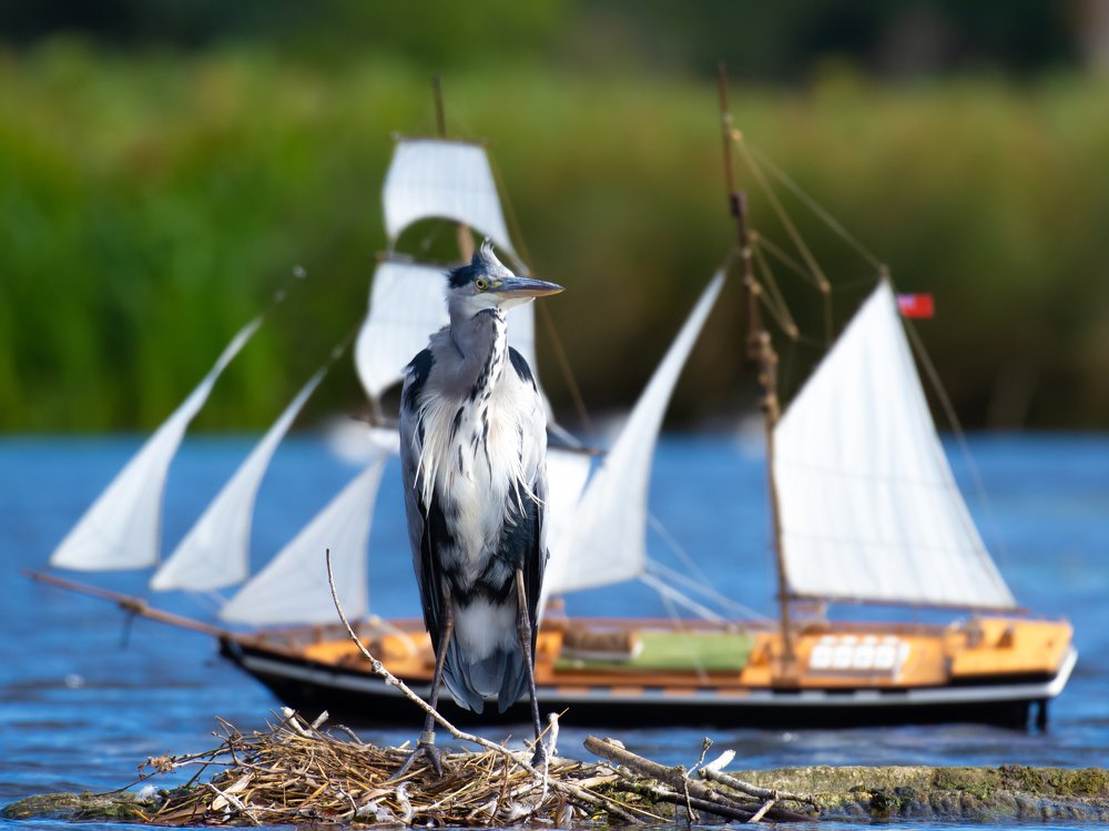 Фотография автора Anandhu M