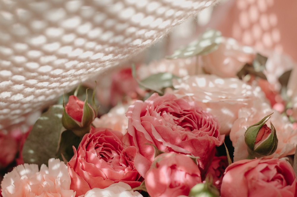 Photograph by Марина Кирпичникова