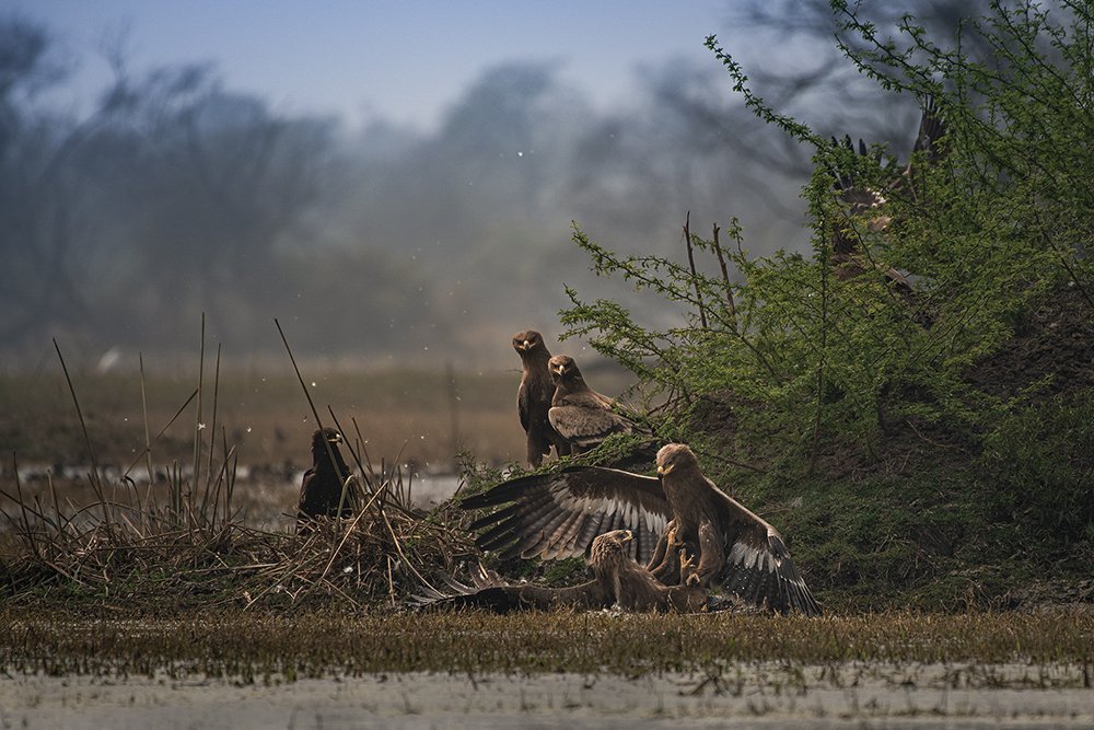 Photograph by Aman Wilson
