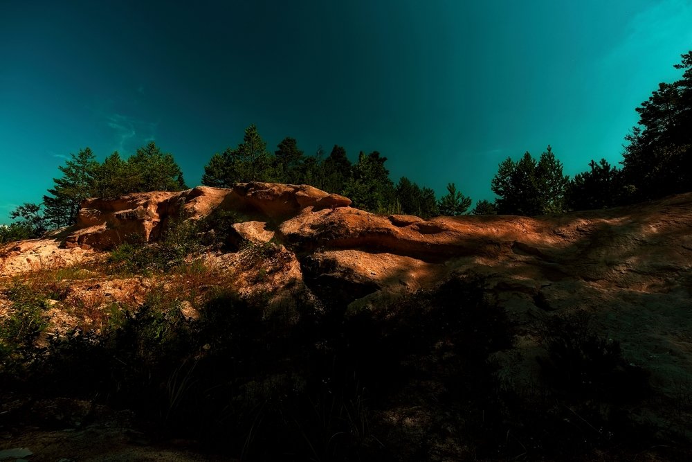 Photograph by Iwona Sowińska-Fruhtrunk