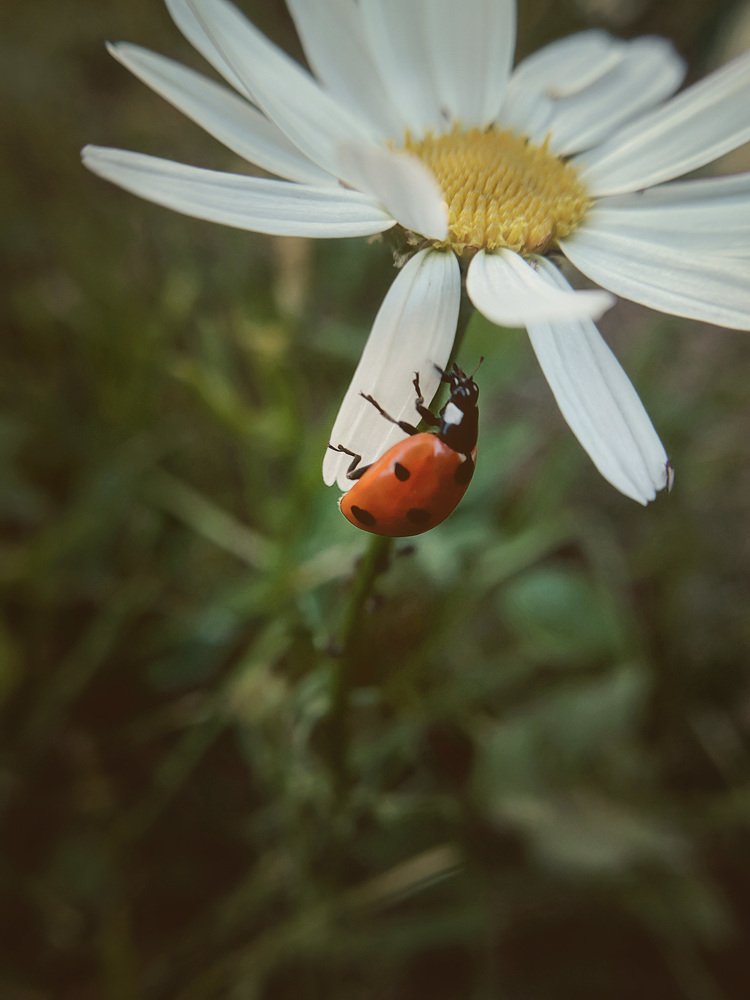 Photograph by Алексей и Юлия Дарьины