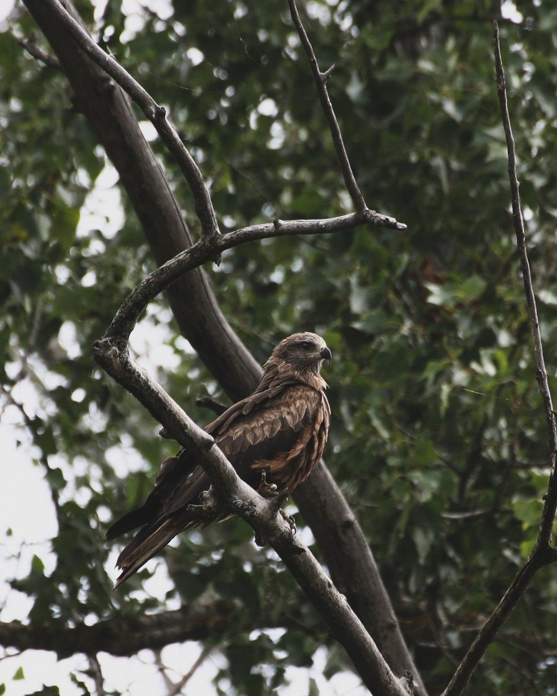 Photograph by Аскар Зиганшин