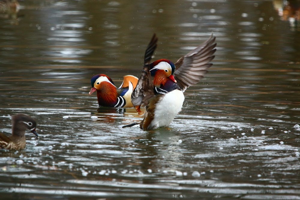 Photograph by Марго Ерёмина