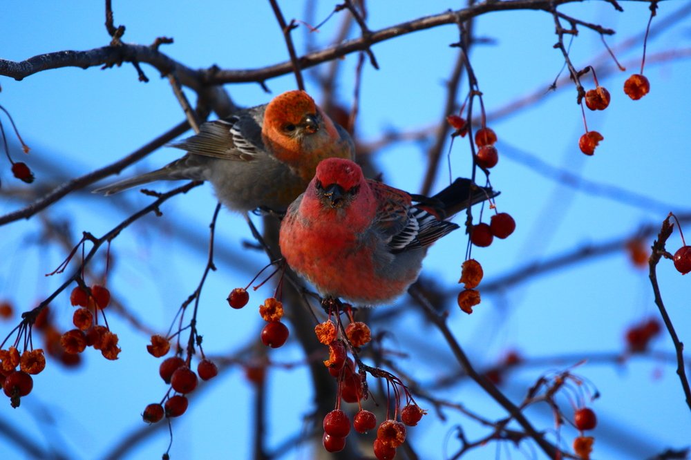 Photograph by Марго Ерёмина
