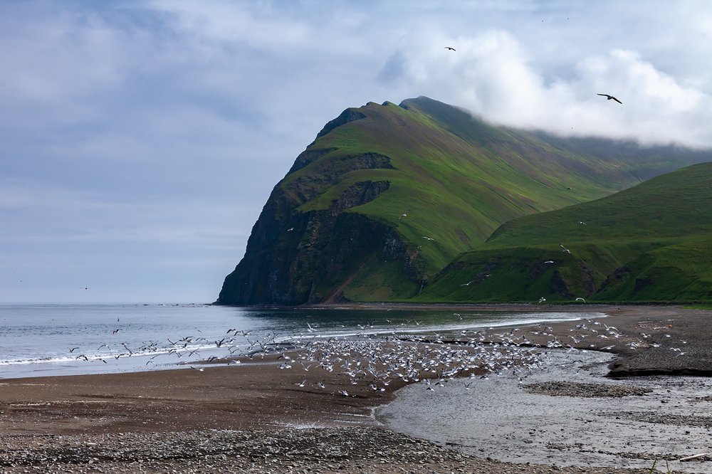 Photograph by Сергей Краснощёков