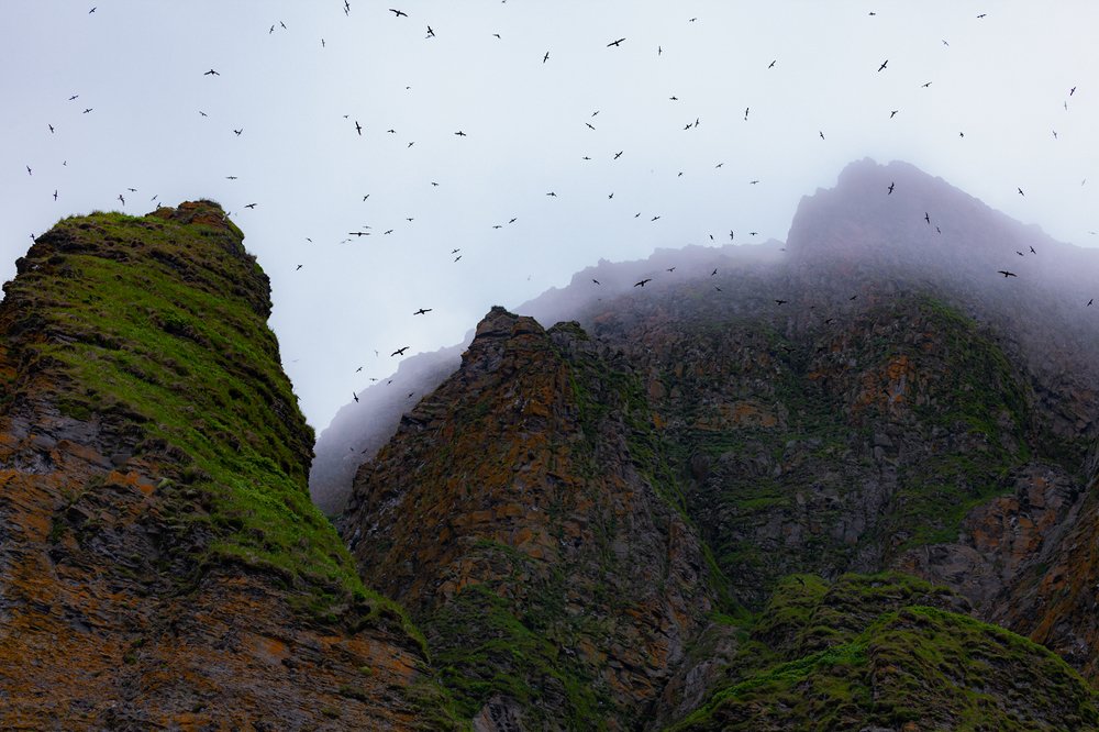 Photograph by Сергей Краснощёков