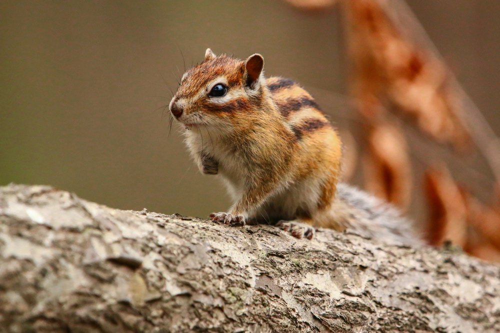 Photograph by Марго Ерёмина