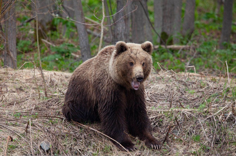 Photograph by Марго Ерёмина
