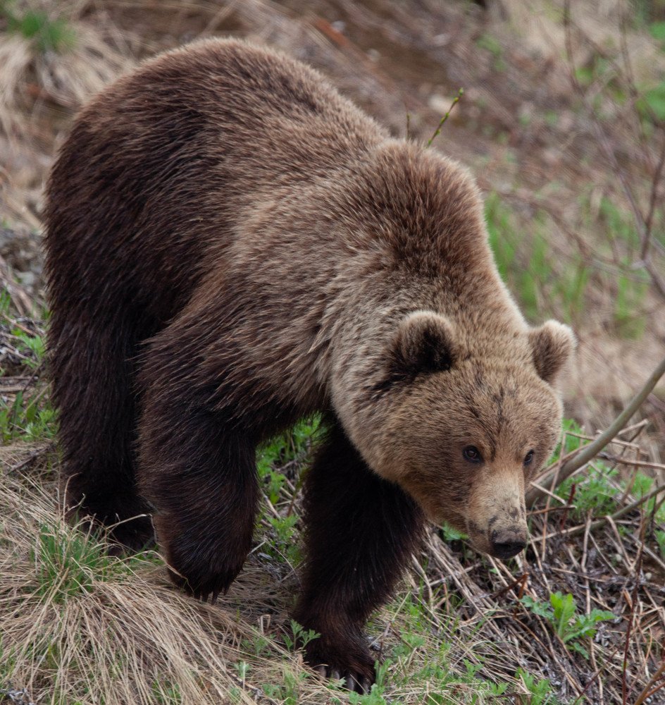 Photograph by Марго Ерёмина
