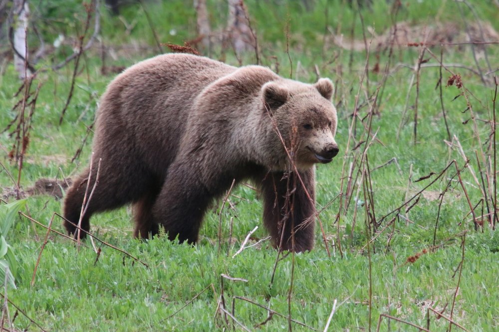 Photograph by Марго Ерёмина