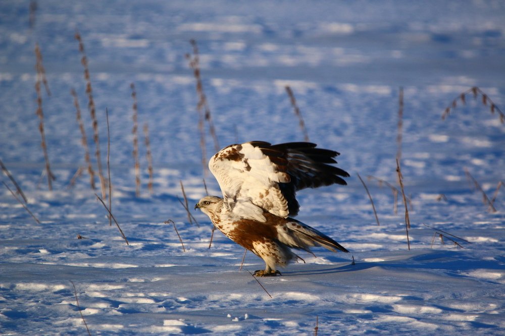 Photograph by Марго Ерёмина