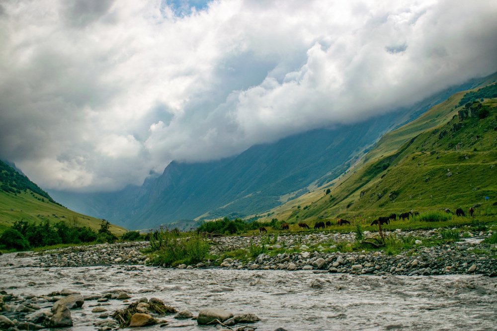 Photograph by Ирина Соболева