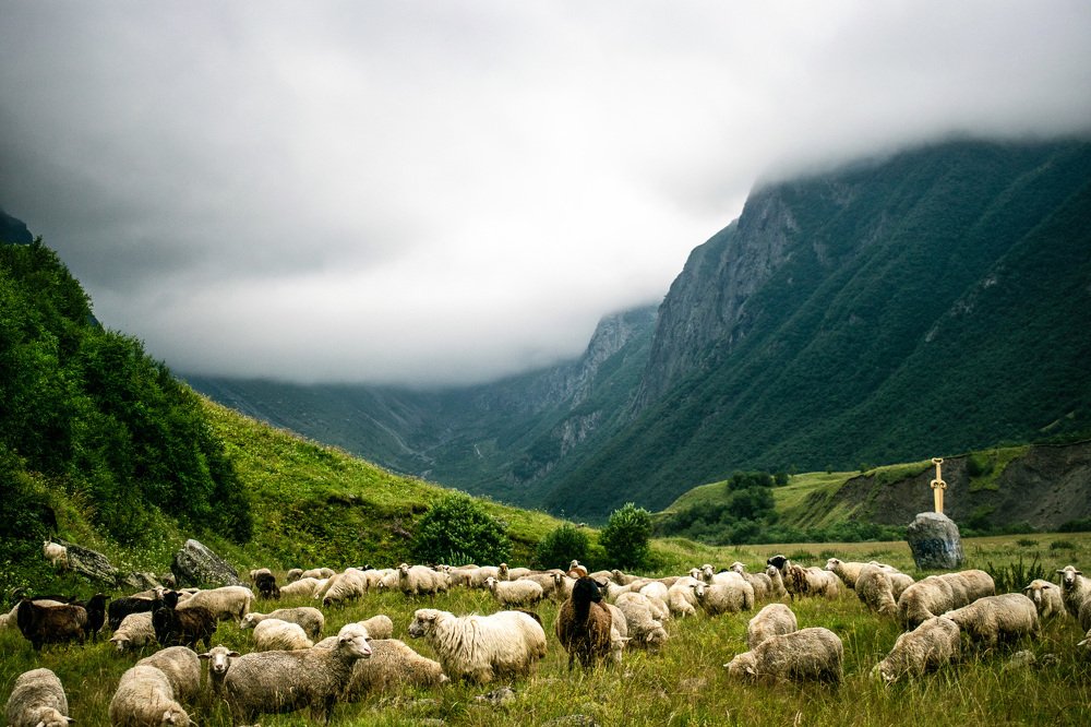 Photograph by Ирина Соболева