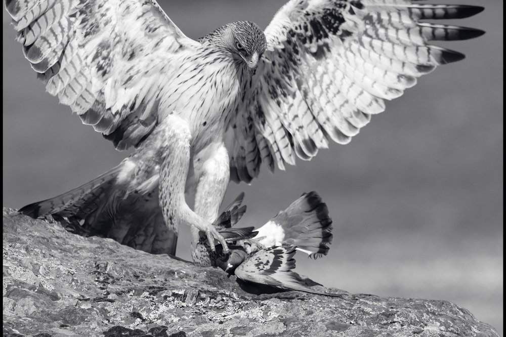 Photograph by Ernestas Balcikonis