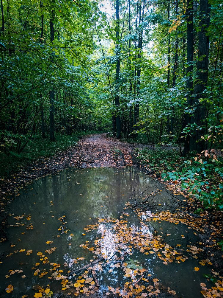 Photograph by Алексей