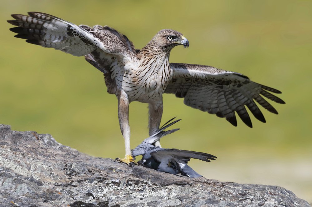 Photograph by Ernestas Balcikonis