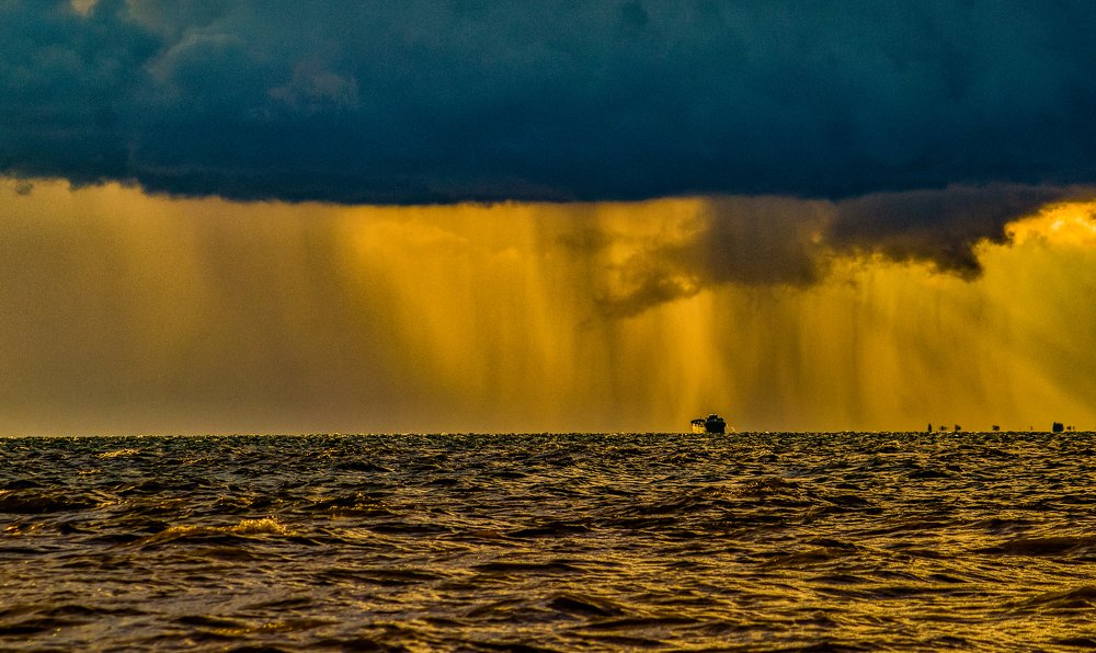 Đi ra từ cơn giông