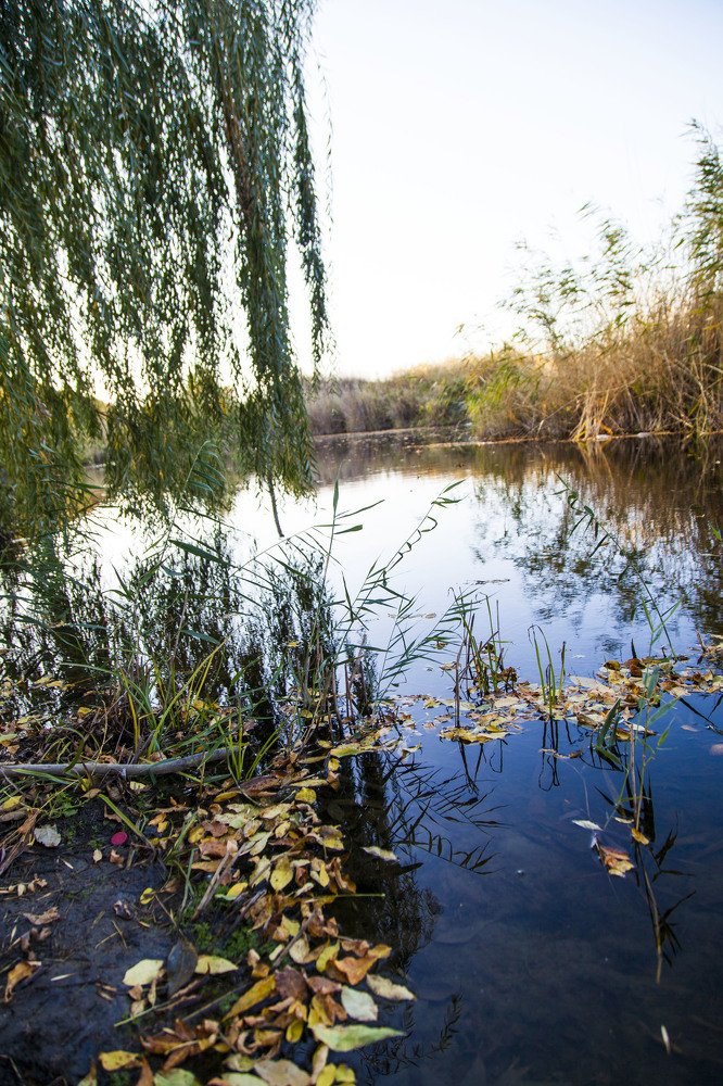 Photograph by Усатый Александр