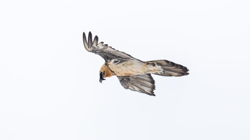 Photograph by Константин Кукушкин