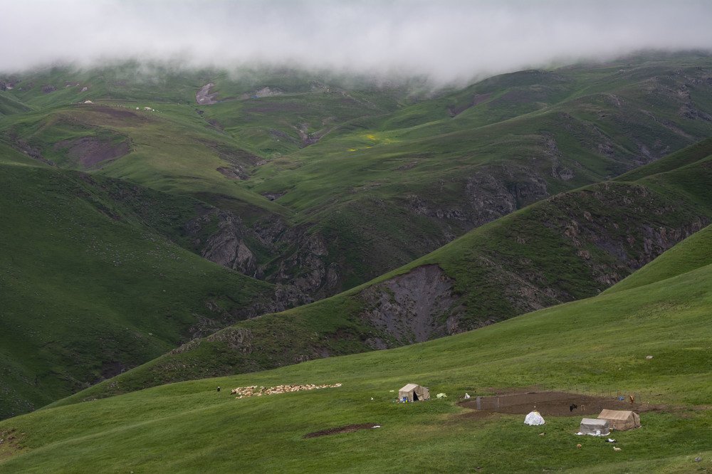 Photograph by mehdi amirpour