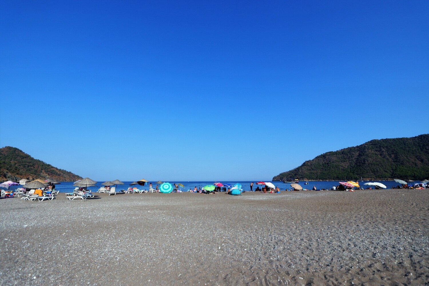 Photo #4924371