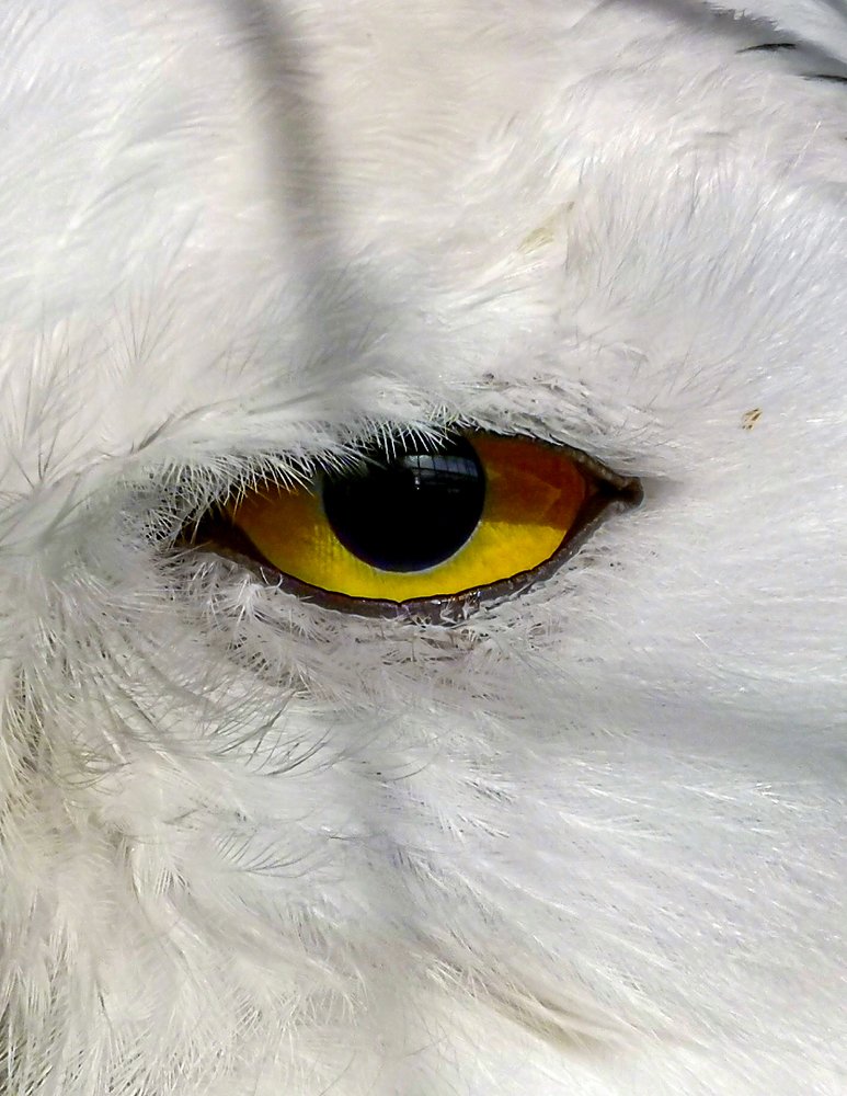 Photograph by Алексей Фрилунд