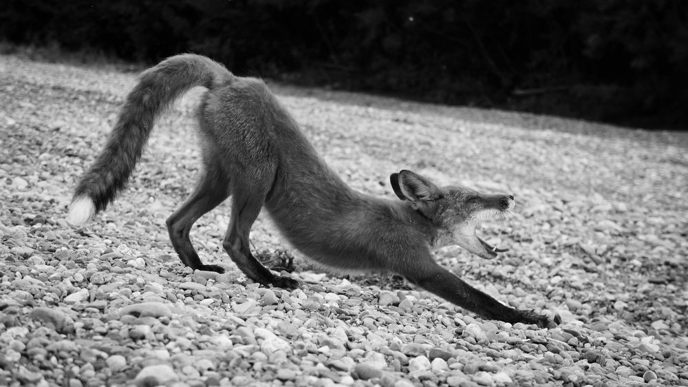 Фотография автора Михаил Назаров