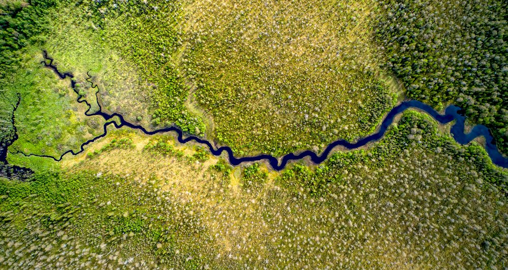 Вены Карелии