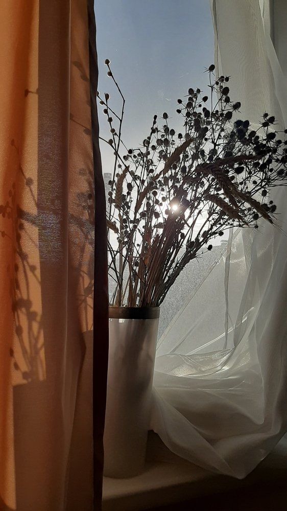 Photograph by Наталья Анисимова