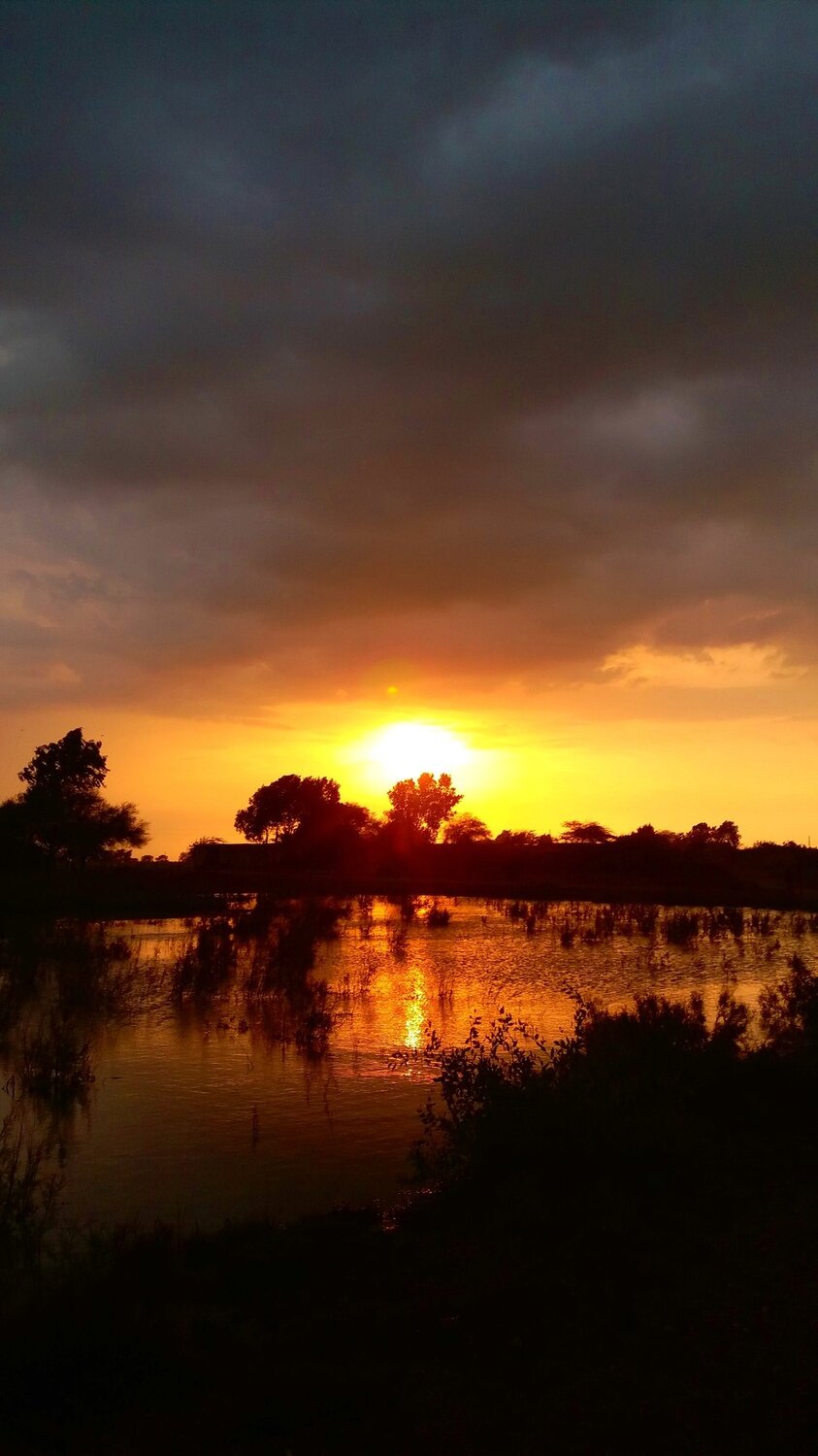 Photo #4924572