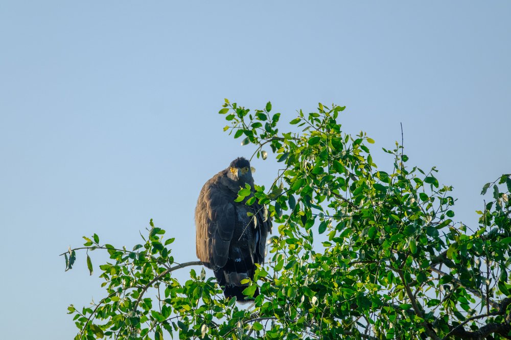 Photograph by Денис Семенов