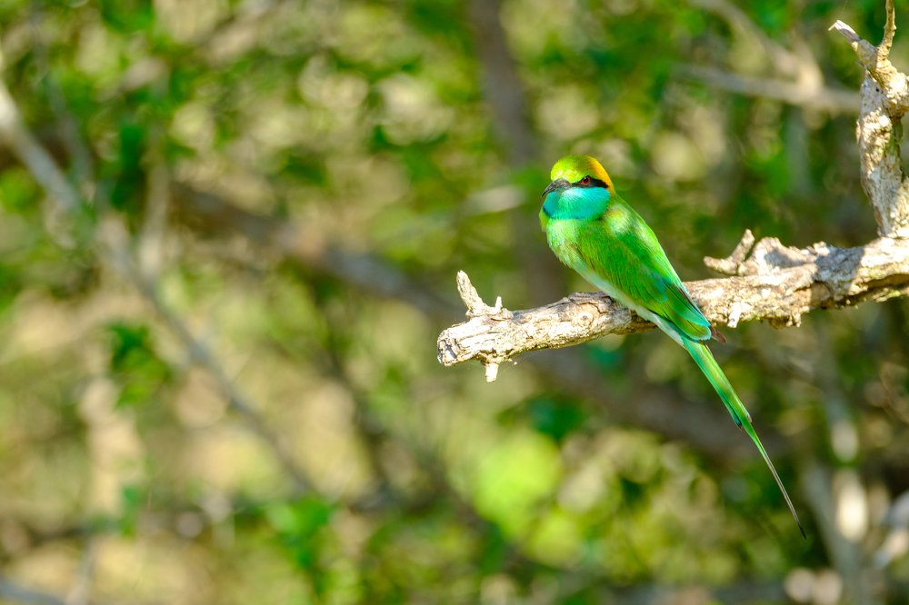 Photograph by Денис Семенов