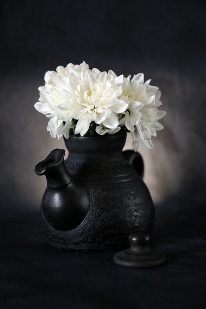 белые хризантемы (white chrysanthemums)