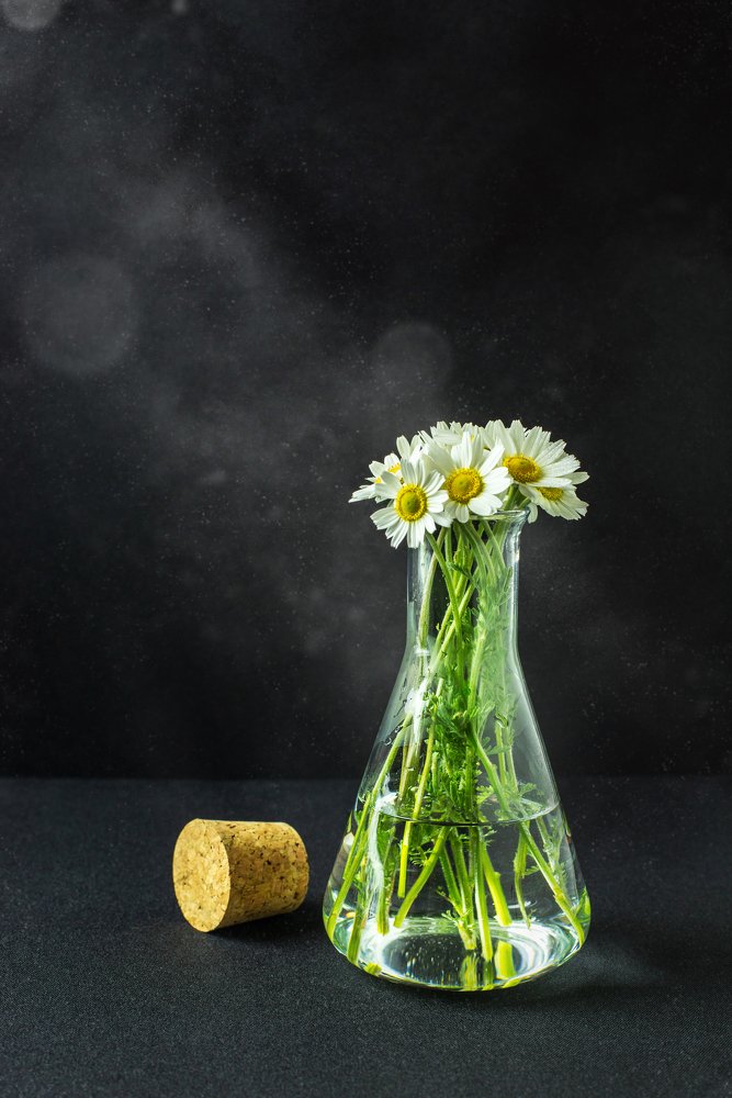 Photograph by Алексей Карпинчик