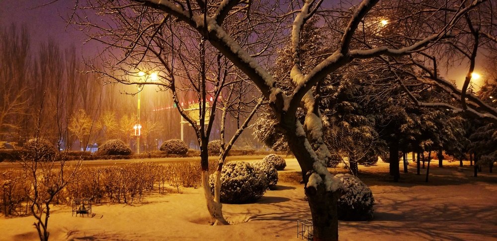 Photo #4924625
