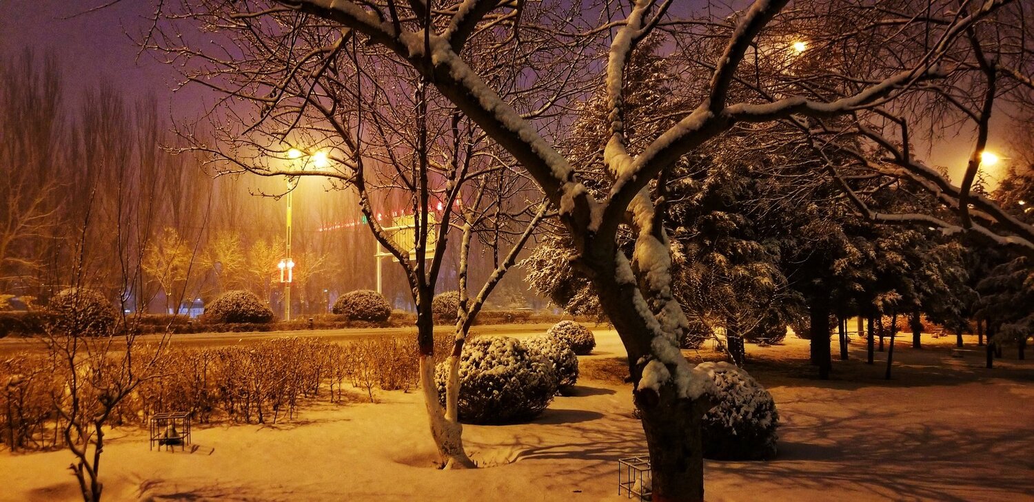 Photo #4924625