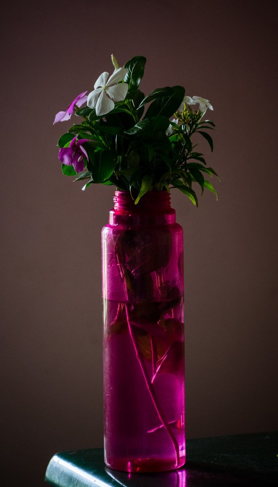 white and pink, big and small