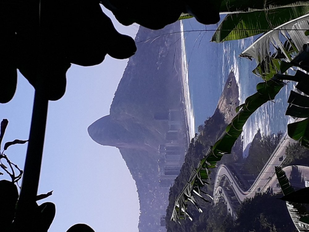 Photo #4924675