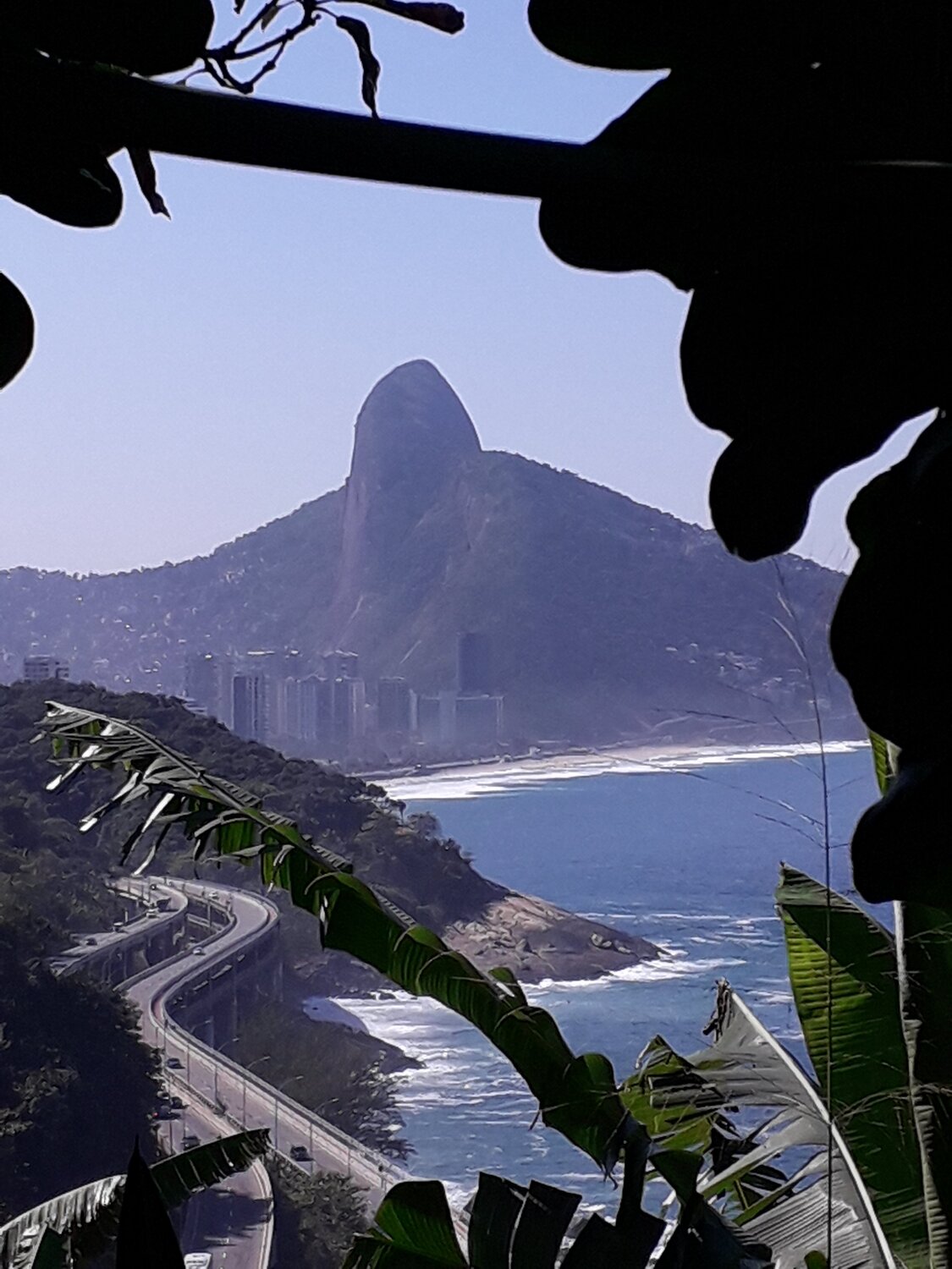 Photo #4924675