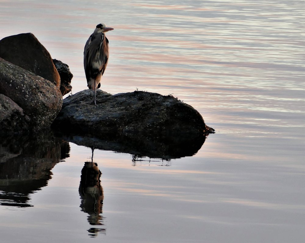 Photograph by Dmitry Lysenko